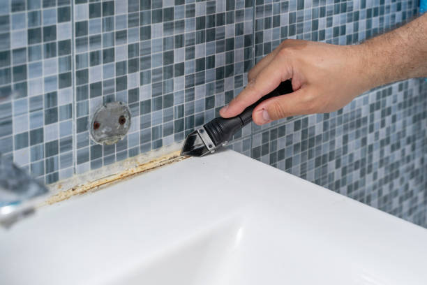 Best Local Mold Removal Service  in Bliss Corner, MA